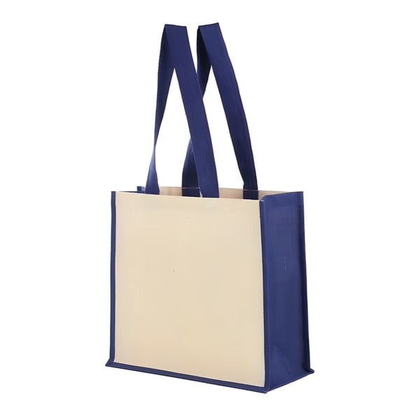 Luxury Varanasi Shopping & Leisure Bag