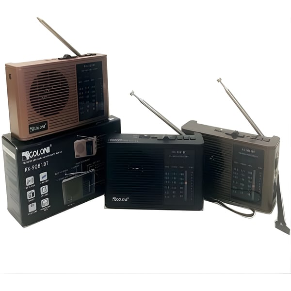 Multi-Band Transistor Radio with Bluetooth Speaker