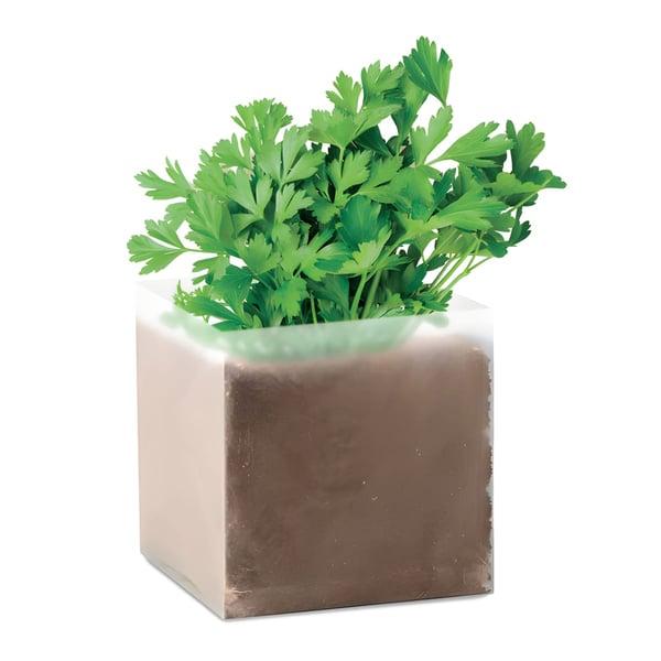 Modern Pot with Fresh Parsley