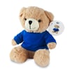 Plush Teddy Bear with Customizable Shirt - Teddy
