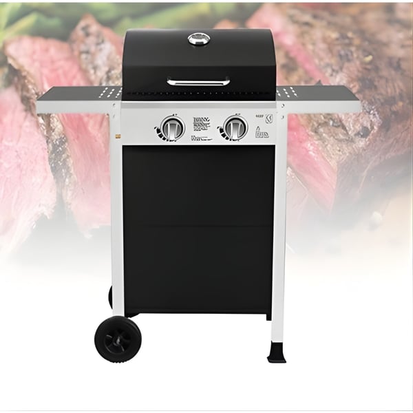 גריל גז 'מונטנה' עם 2 מבערי נירוסטה מבית CAMPTOWN