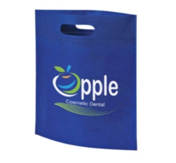 Small Non-Woven Bag - Ideal Solution for Organization