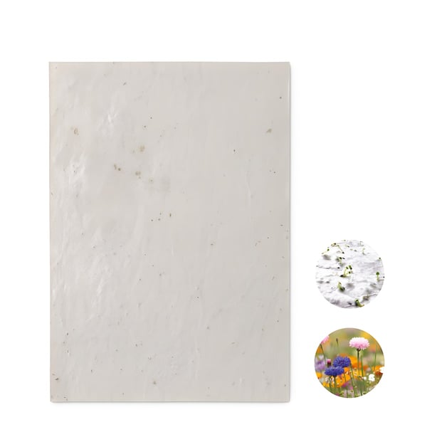 Wildflower Seed Paper Sheet Recycled A5 Size