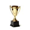 גביע ספורט זהוב ומרהיב לניצחון מושלם