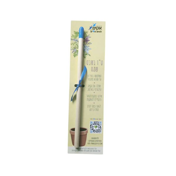 Growing Pencil with Herb Seeds for Planting
