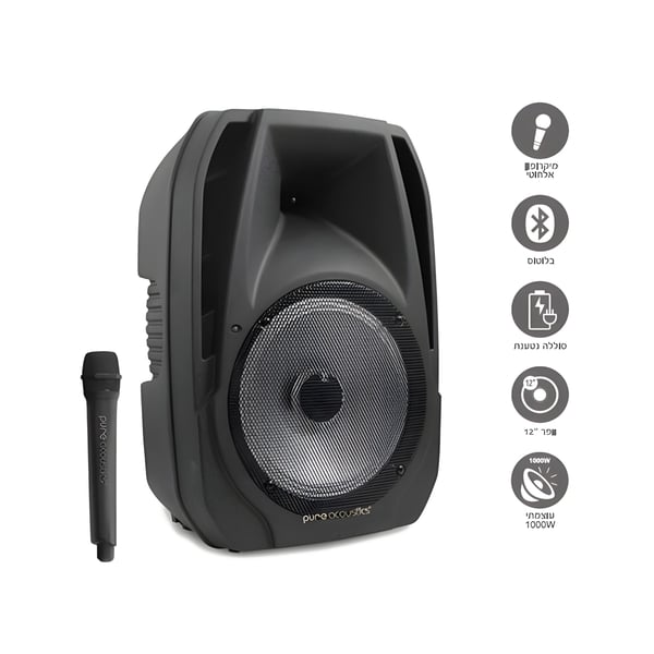 Portable 12" Entertainment System - Enjoy Music Anywhere