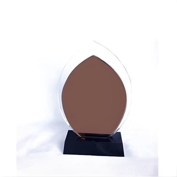 Modern Designed Corporate Shield