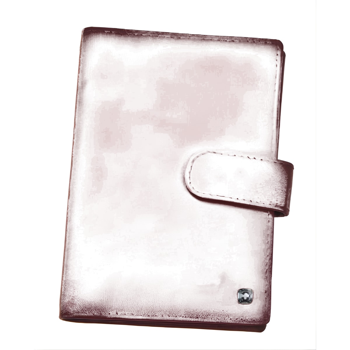 דרכון GARDA - הבחירה האולטימטיבית לנסיעות קלות