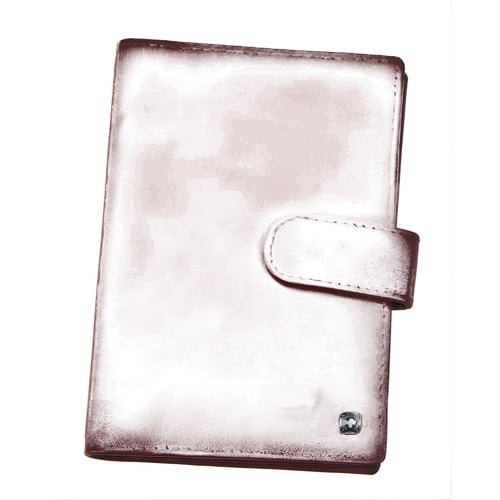 דרכון GARDA - הבחירה האולטימטיבית לנסיעות קלות