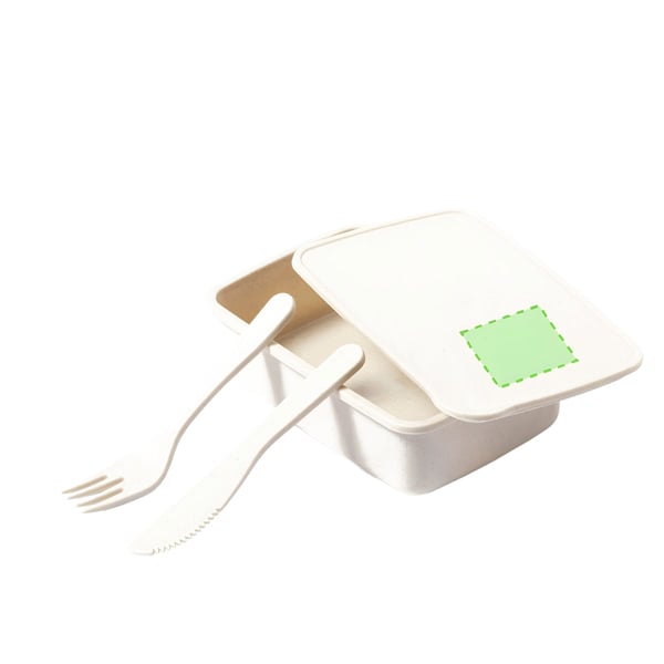 קופסת אוכל בטוחה וידידותית לסביבה - הרקסם