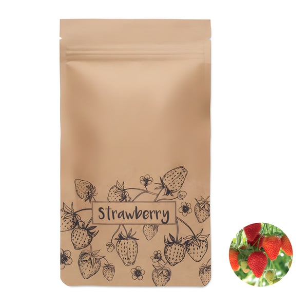 Eco-Friendly Strawberry Growing Kit
