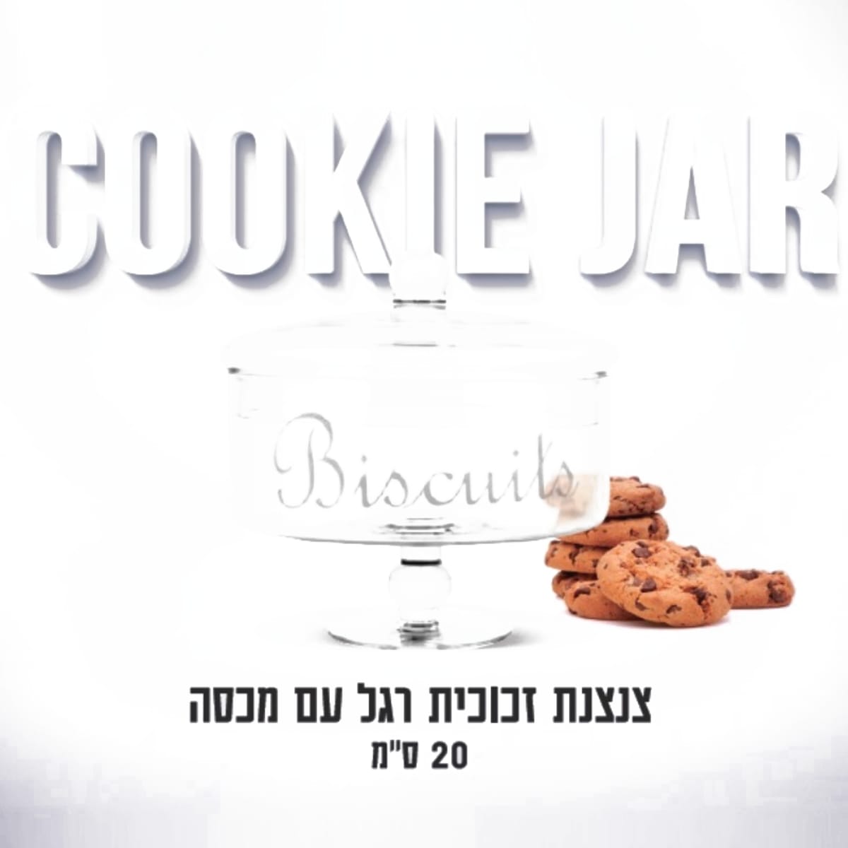 צנצנת עוגיות גדולה עם בסיס זכוכית - מתנה מושלמת