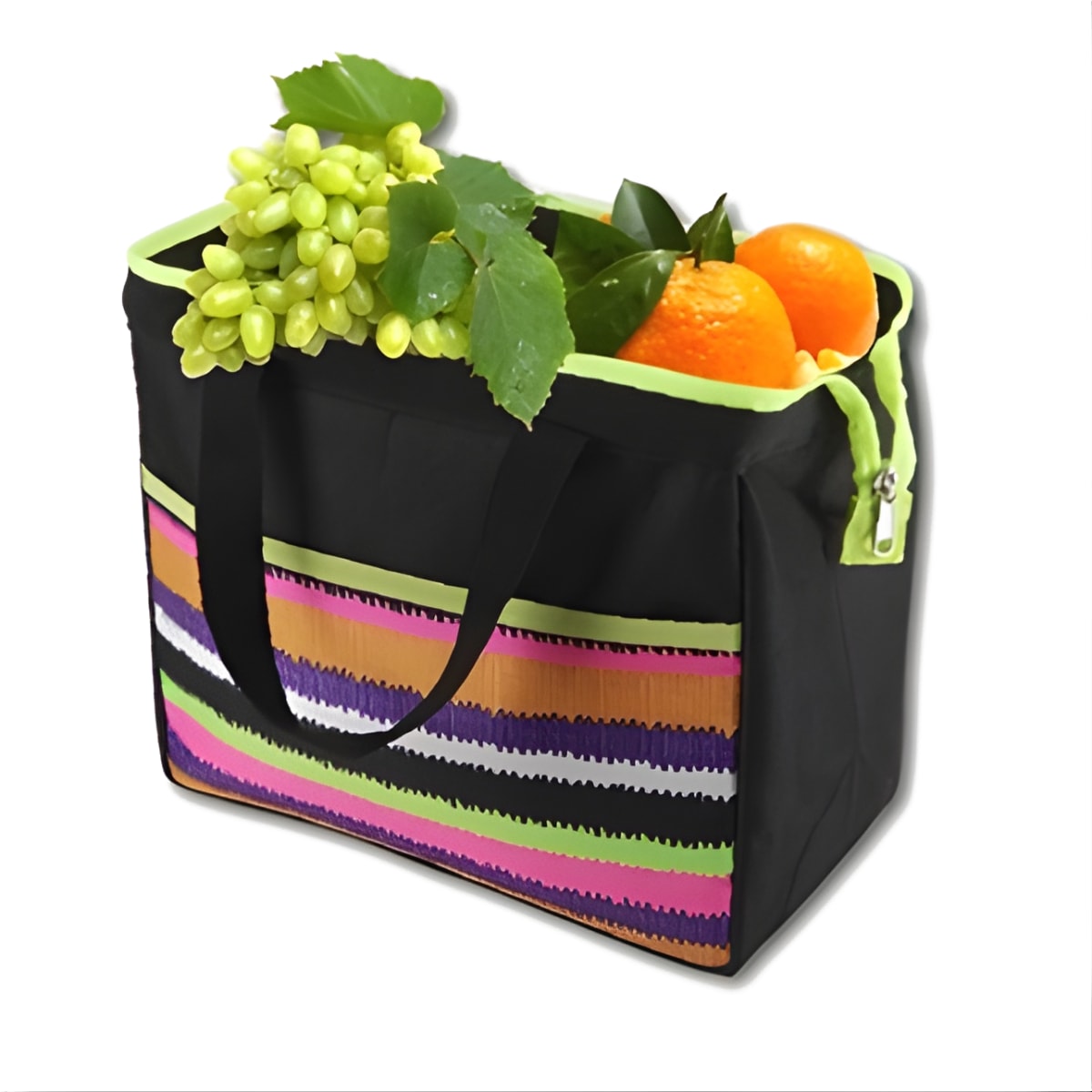 צידנית אוכל תרמית עם קרחונים וישי