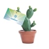 Cactus Memo Holder - Unique Corporate Gift
