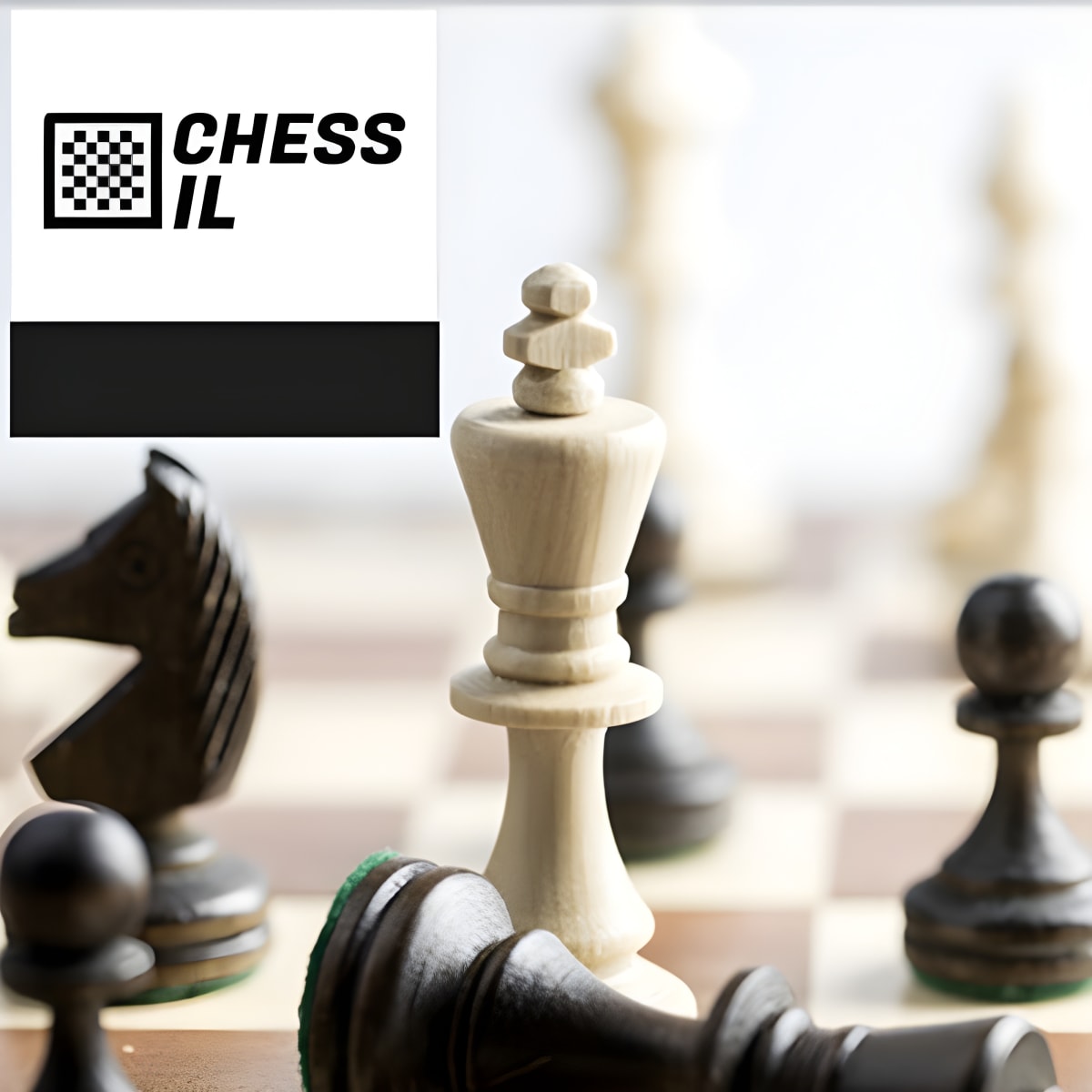 לימוד שחמט אונליין למתחילים ומתקדמים