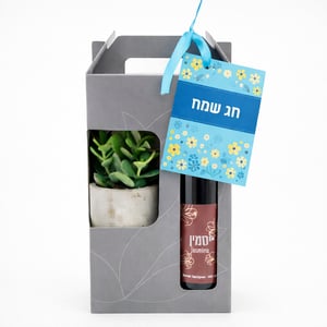 מארז אביב ישראלי