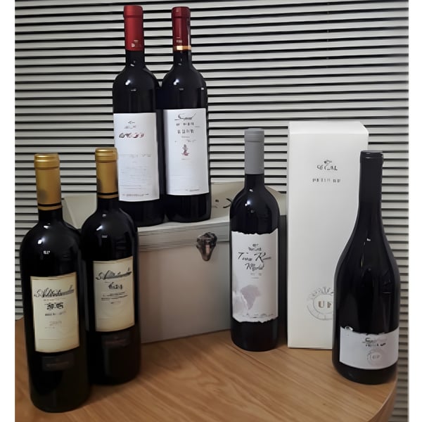 Premium Barkan Wine Gift Set