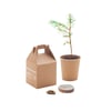 GROWTREE™