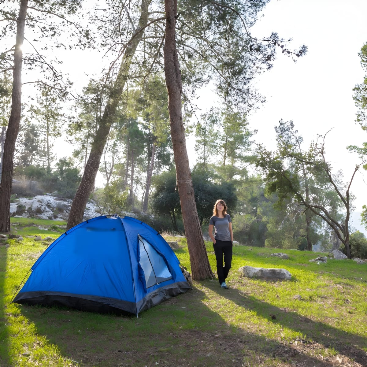 אוהל מחנאות איכותי ל-4 אנשים עם תיק נשיאה