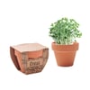 Terracotta Pot for Cress Seeds