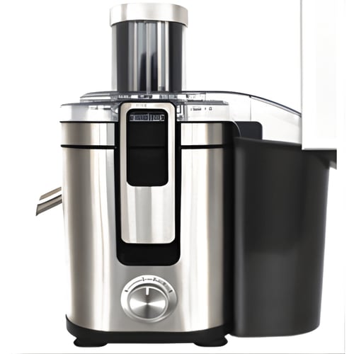 Professional Hard Fruit Juicer for Maximum Efficiency