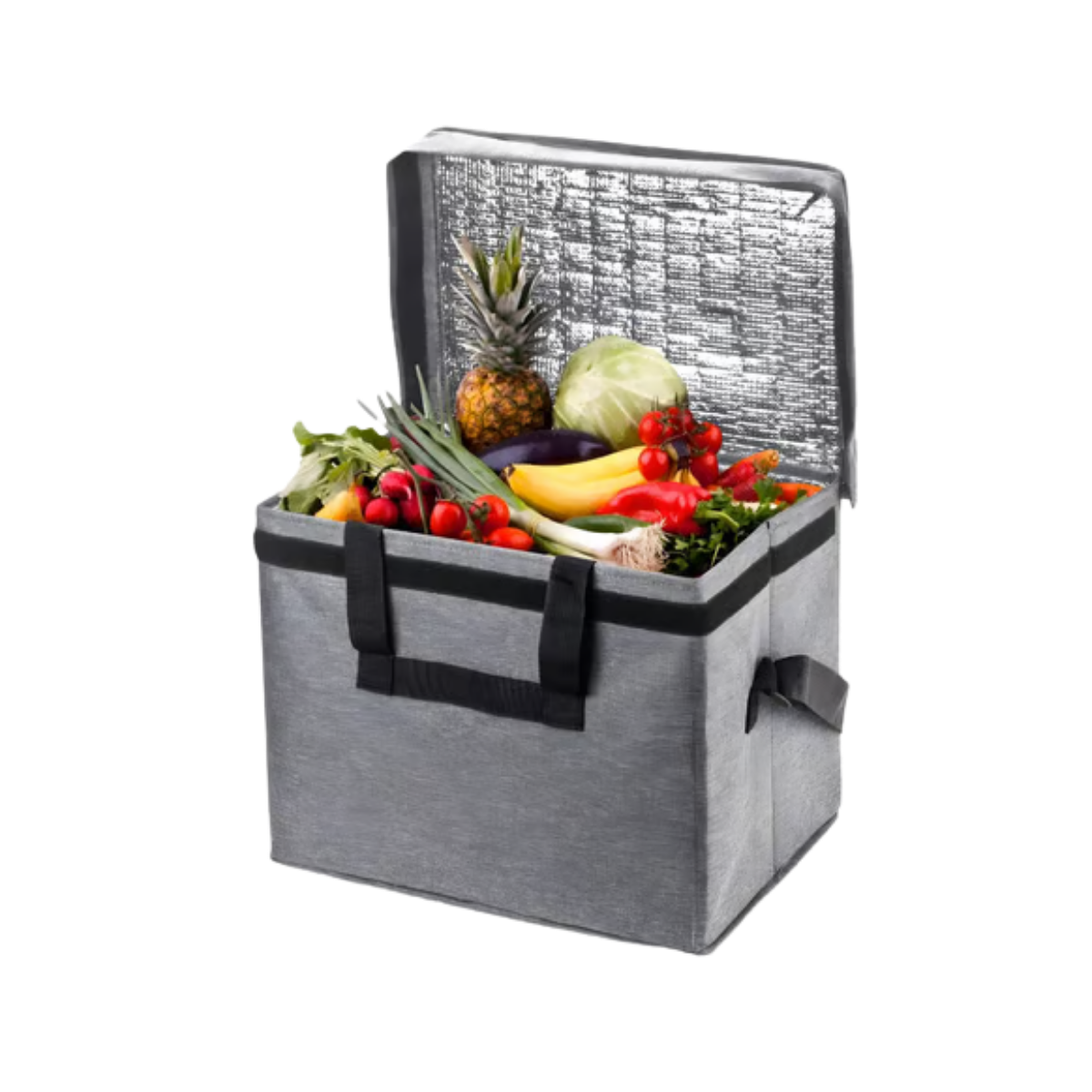 צידנית מתקפלת 30 ליטר אלסקה עם ציפוי אלומיניום