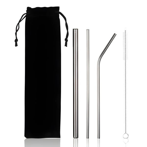 Reusable Stainless Steel Straw Set with Carrying Pouch