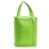 ברד  צידנית משפחתית/תיק קניות - ירוק